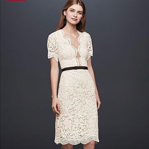 Illusion Lace Shift Dress with Contrast Ribbon